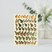  vlinderdiagram briefkaart (Staand voorkant)