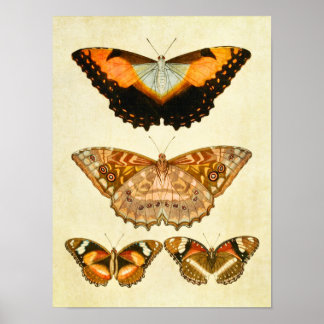 vlinderdruk 218 poster