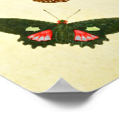 vlinderdruk 279 poster (Hoek)