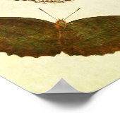 vlinderdruk 349 poster (Hoek)