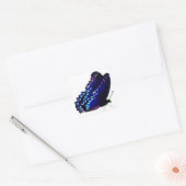 Vlinderenvelop afdichtingen vierkante sticker (Envelop)