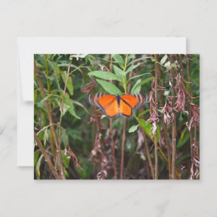 Vlinderfladderen in Reeds Briefkaart