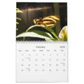 vlinderfotokalender kalender (Feb 2026)