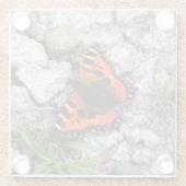 Vlinderglas onderzetter (Achterkant)