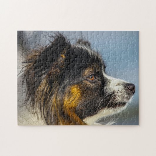 Vlinderhond Legpuzzel (Horizontaal)