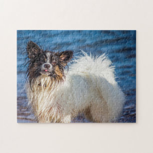 Vlinderhond. Legpuzzel