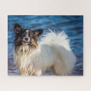 Vlinderhond. Legpuzzel