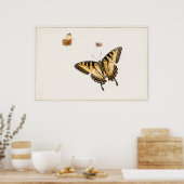  vlinderillustratie poster (Keuken)