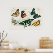 vlinderillustratie poster (Keuken)