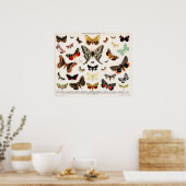  vlinderillustratie poster (Keuken)