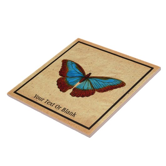  vlinderillustratie tegeltje (Zijkant)