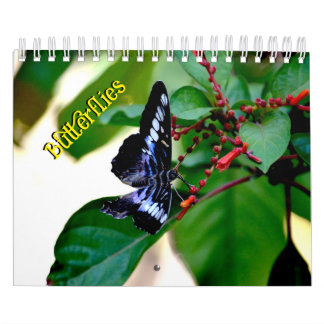 Vlinderkalender Kalender