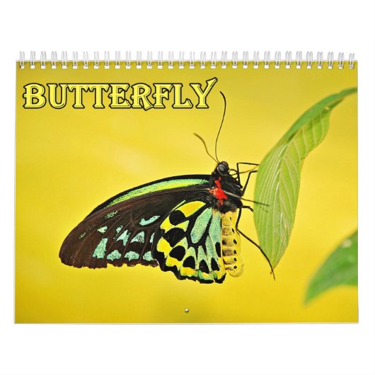 Vlinderkalender Kalender (Hoes)