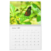 Vlinderkalender Kalender (Jan 2027)
