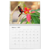 Vlinderkalender Kalender (Feb 2027)