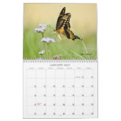 vlinderkalender kalender (Jan 2027)