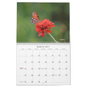 vlinderkalender kalender (Mar 2027)