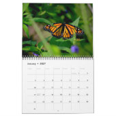 Vlinderkalender Kalender (Jan 2027)