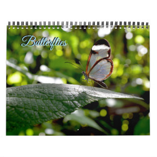 Vlinderkalender Kalender