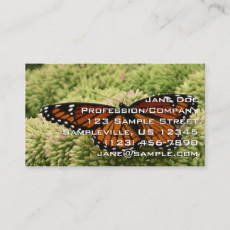 Vlinderkoning Vlinder Mooie Natuurfotografie Visitekaartje