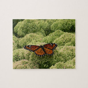 Vlinderkoning Vlinder Schoon Natuur Fotografie Legpuzzel