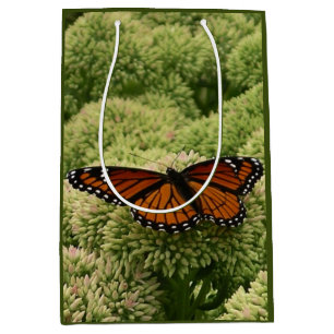 Vlinderkoning Vlinder Schoon Natuur Fotografie Medium Cadeauzakje