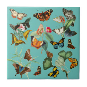  vlinderkunst, veel soorten en kleuren tegeltje