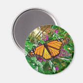 Vlindermagneet, monarch magneet (Voorkant / Achterkant)