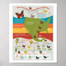 vlindermigratie-Poster