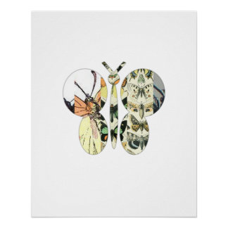 Vlindermozaïek - Lepidoptera Collage Poster Perfect Poster