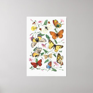 Vlindermuurkunst Canvas Vintage Stijl Natuur Afdruk