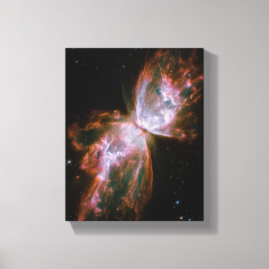 Vlindernevel Canvas Afdruk (Voorkant)