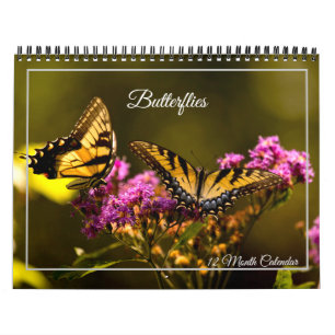 Vlinders 12 Maanden Kalender