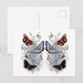 vlinders briefkaart (Voorkant / Achterkant)
