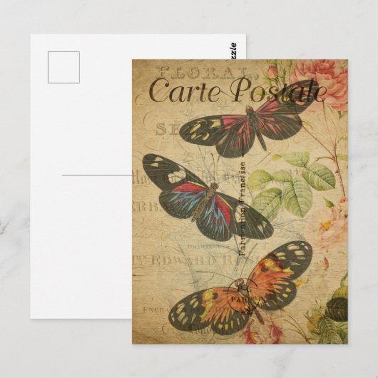 vlinders briefkaart (Voorkant / Achterkant)