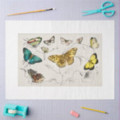 Vlinders Decoupage papier (Craft)