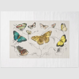 Vlinders Decoupage papier