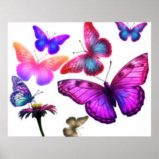 Vlinders die zich voeden en rondvliegen op Kleurri Poster