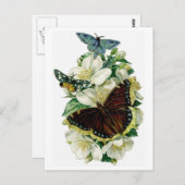 vlinders en bloemen briefkaart (Voorkant / Achterkant)