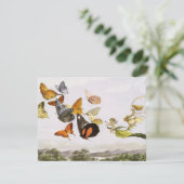 vlinders en lichte oude illustratie (Staand voorkant)