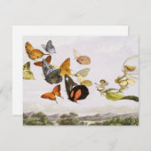 vlinders en lichte oude illustratie (Voorkant / Achterkant)