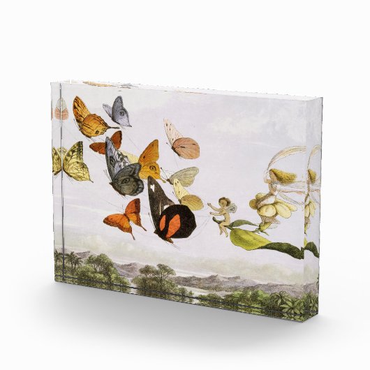 vlinders en lichte oude illustratie fotoblokken (Rechts)