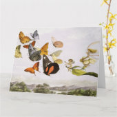  vlinders en lichte oude illustratie kaart (Gele Bloem)