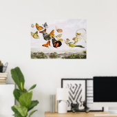 vlinders en lichte oude illustratie poster (Thuiskantoor)