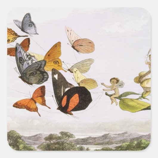 vlinders en lichte oude illustratie vierkante sticker (Voorkant)