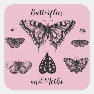 Vlinders en Motten Vintage Print Vierkante Sticker