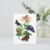 Vlinders en rode kamperfoelie briefkaart (Staand voorkant)