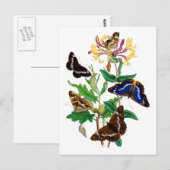 Vlinders en rode kamperfoelie briefkaart (Voorkant / Achterkant)