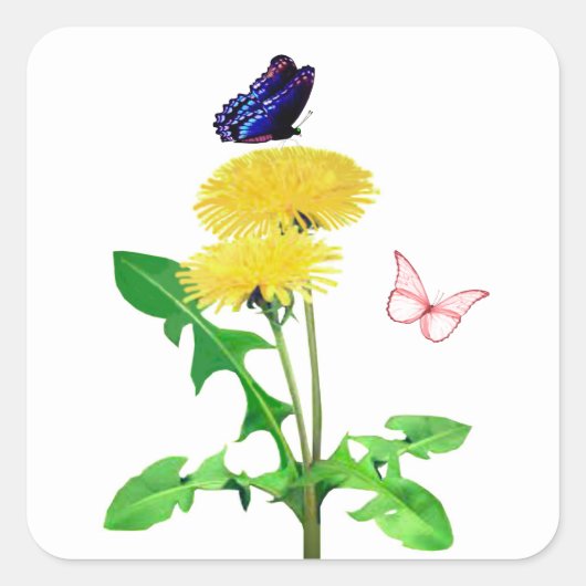 Vlinders envelop afdichtingen Stickers (Voorkant)