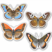 Vlinders in bruin, Sinaasappel en blauw Sticker (Voorkant)